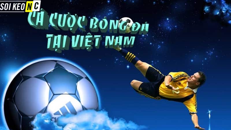 Luật cá độ bóng đá tại Việt Nam